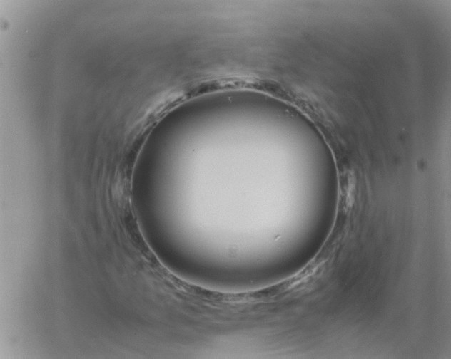 X0000060801157200511241903