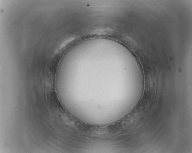 X0000060801158200511241903