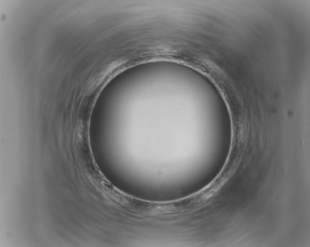 X0000060801161200511241903