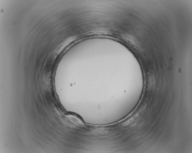 X0000060801162200511241903