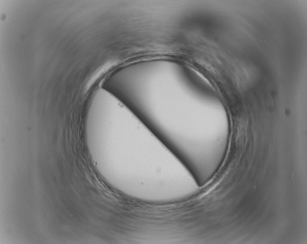 X0000060801163200511241903