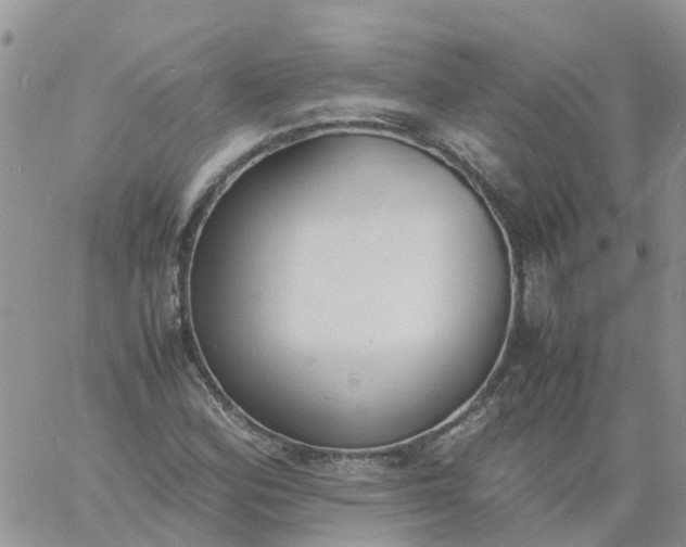 X0000060801164200511241903