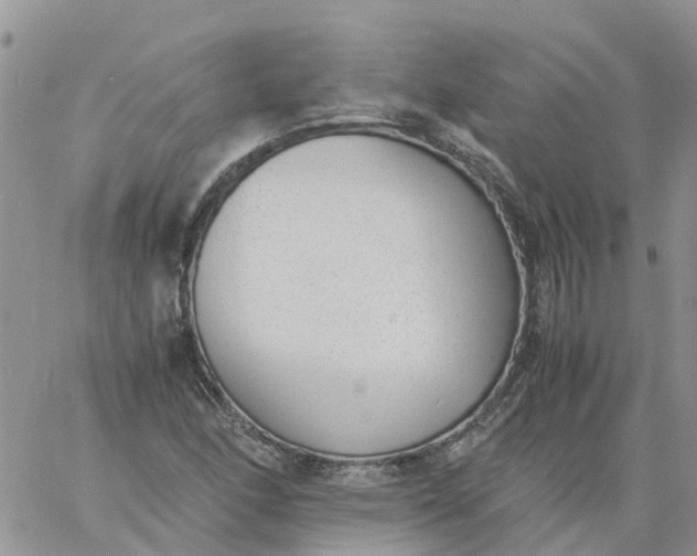 X0000060801166200511241903