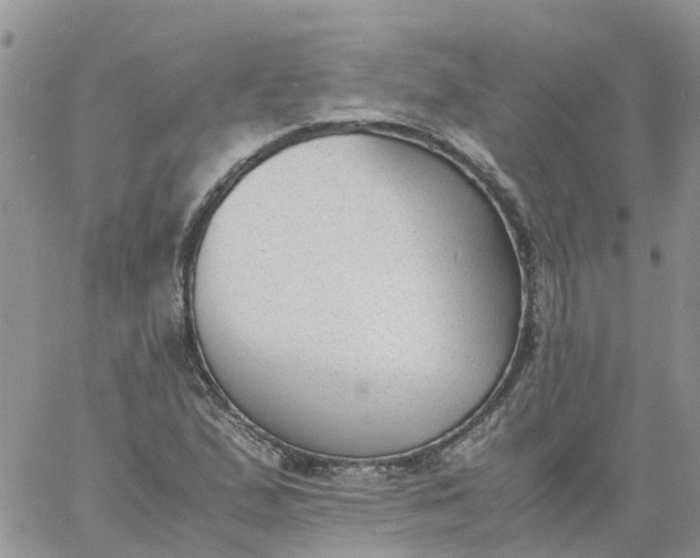 X0000060801167200511241903