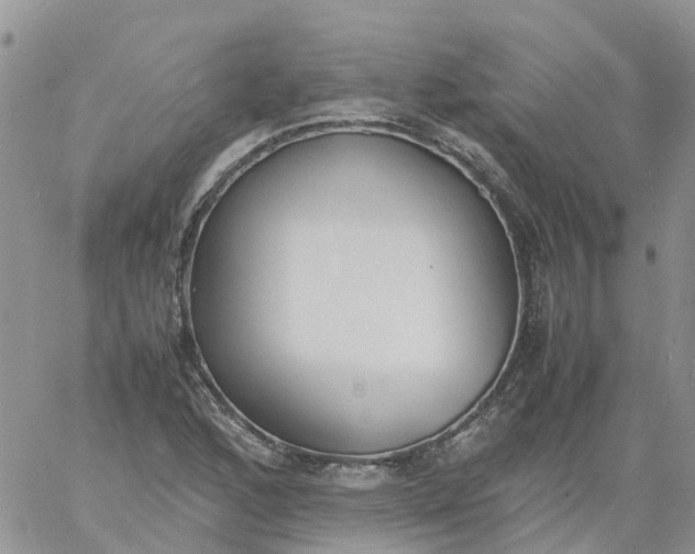 X0000060801168200511241903