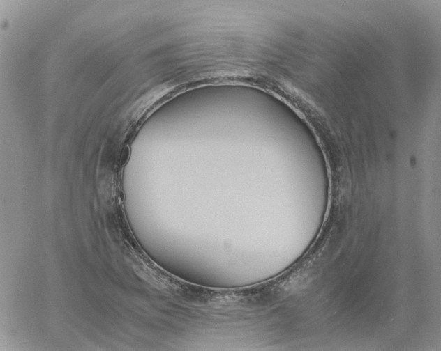 X0000060801169200511241903