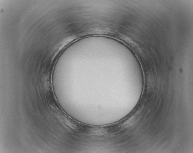 X0000060801170200511241903