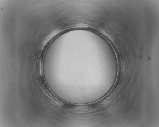 X0000060801171200511241903