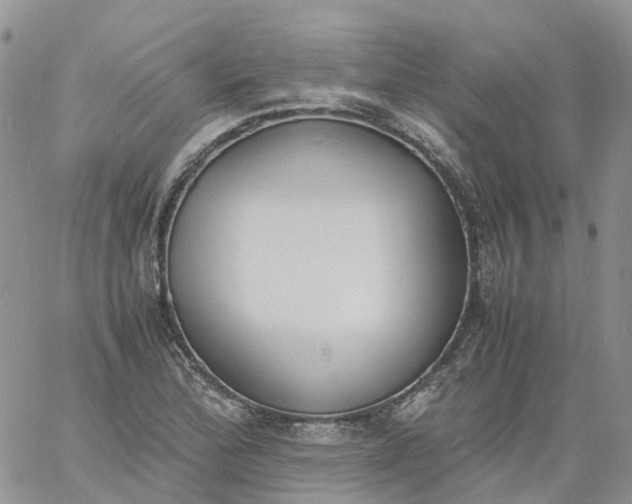 X0000060801172200511241903