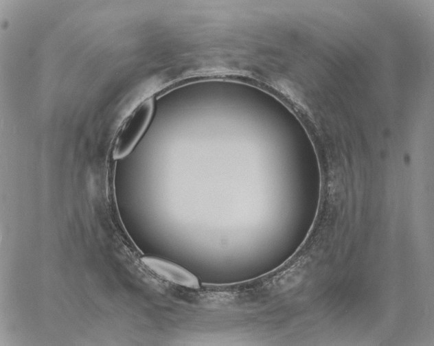 X0000060801173200511241903