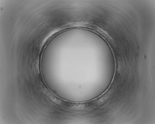 X0000060801174200511241903