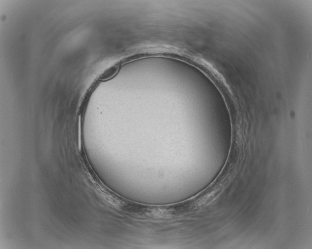 X0000060801175200511241903