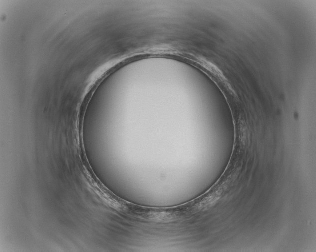 X0000060801176200511241903