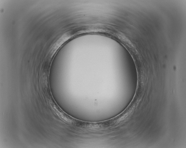 X0000060801177200511241903