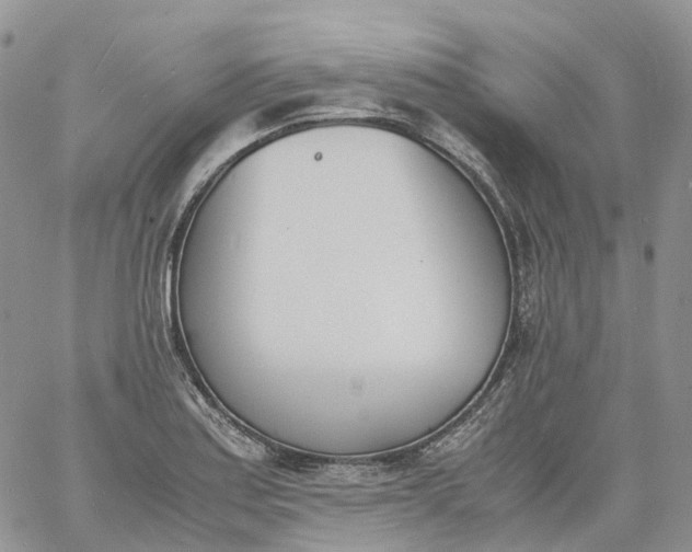 X0000060801179200511241903