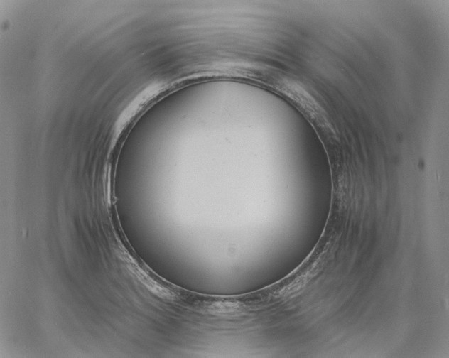 X0000060801180200511241903