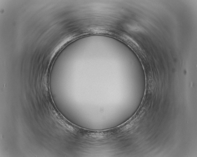 X0000060801182200511241903