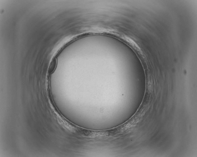 X0000060801183200511241902