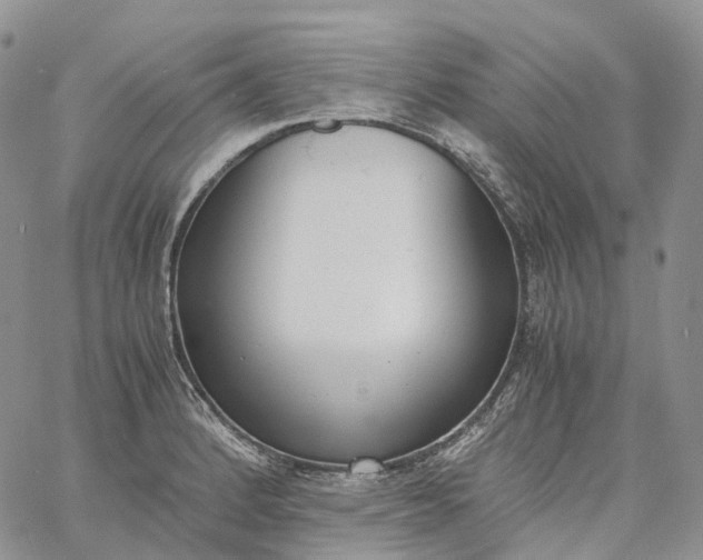 X0000060801184200511241902