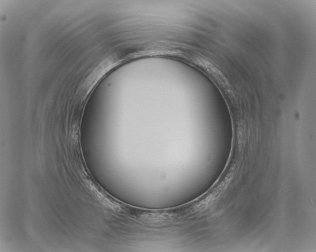 X0000060801185200511241902