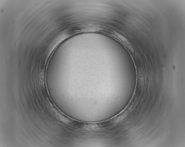 X0000060801186200511241902