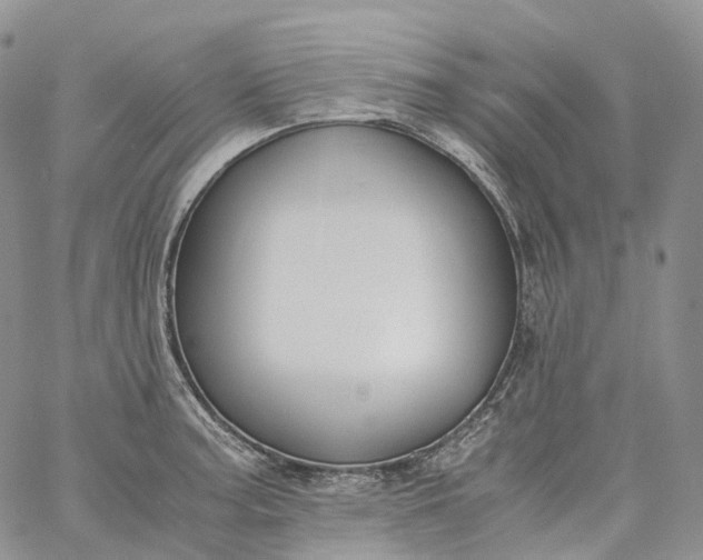 X0000060801187200511241902