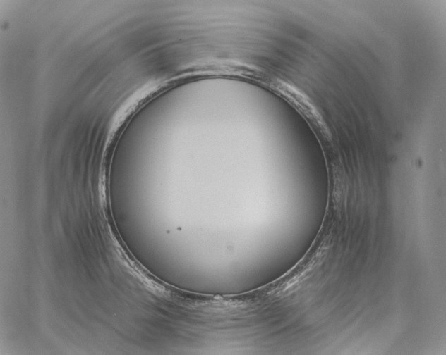 X0000060801188200511241902