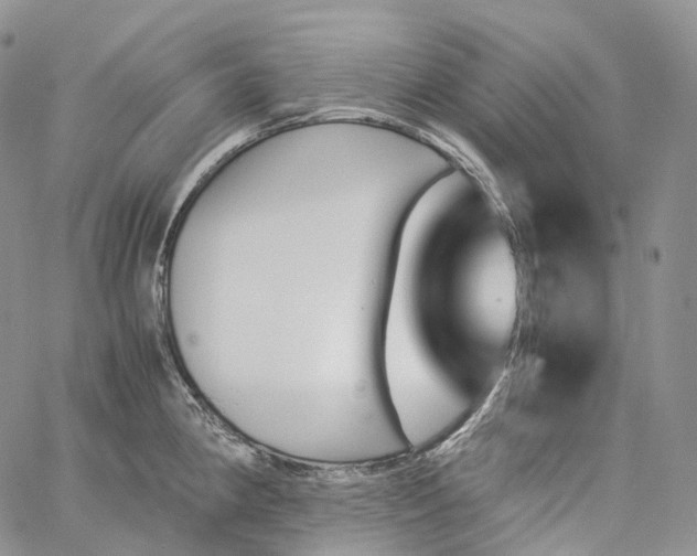 X0000060801190200511241902