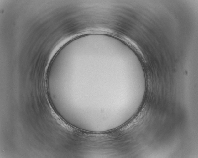 X0000060801192200511241902