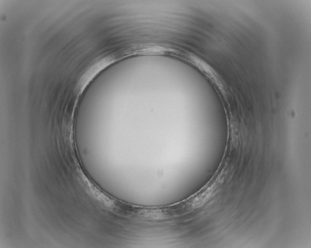 X0000060801194200511241902