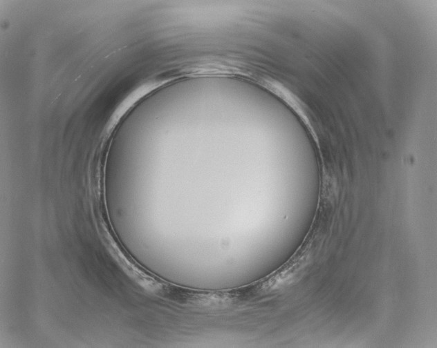 X0000060801195200511241902