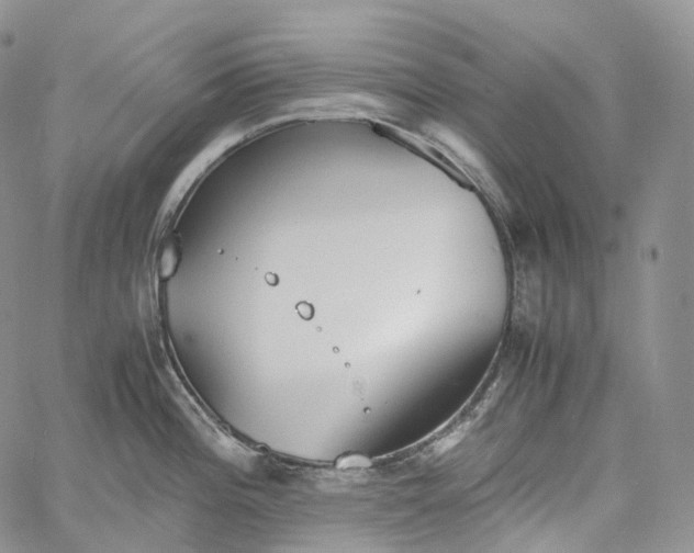 X0000060801196200511241902