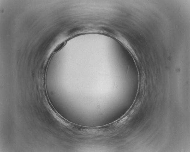 X0000060801197200511241902