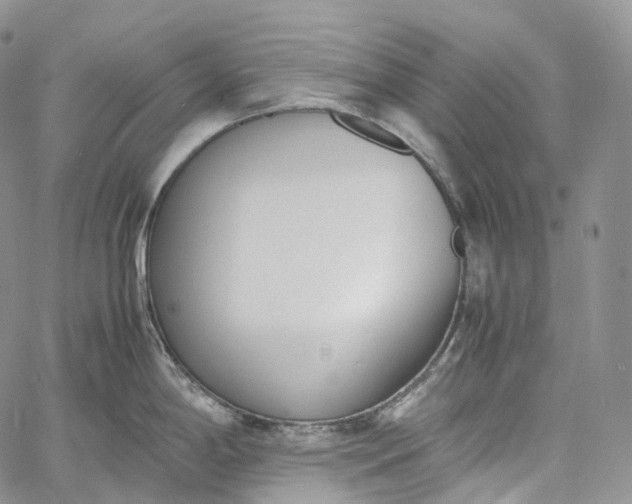 X0000060801198200511241902