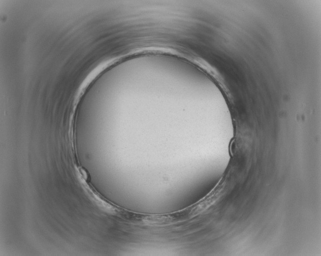 X0000060801199200511241902