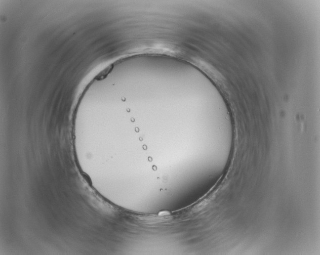 X0000060801200200511241902