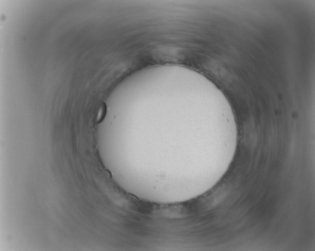 X0000060801201200511241901