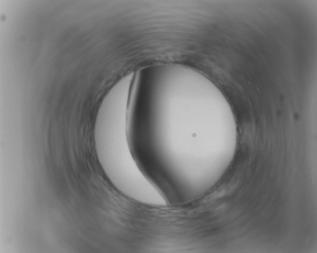 X0000060801202200511241901