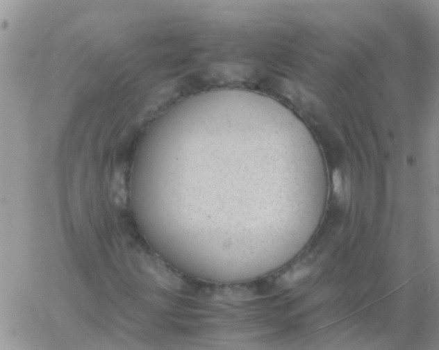 X0000060801203200511241901