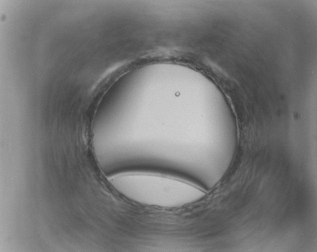 X0000060801206200511241902