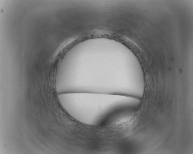 X0000060801207200511241902