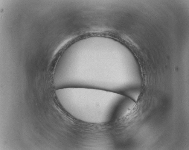 X0000060801208200511241902