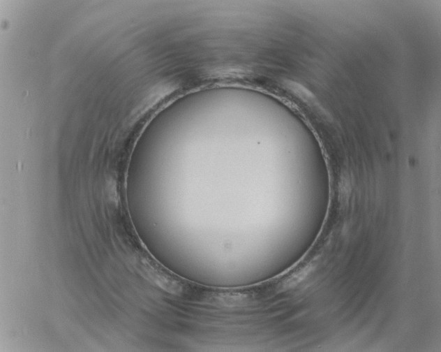 X0000060801209200511241902