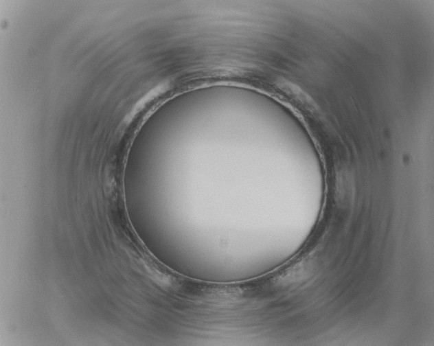 X0000060801210200511241902