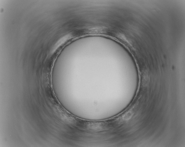 X0000060801211200511241902