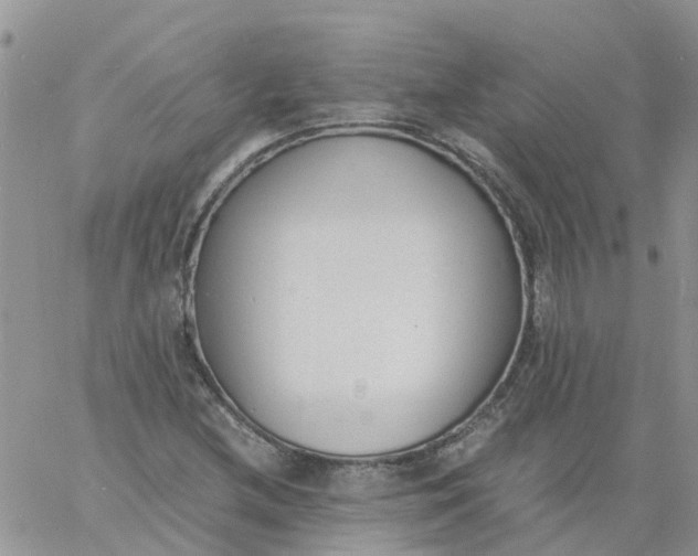 X0000060801212200511241902