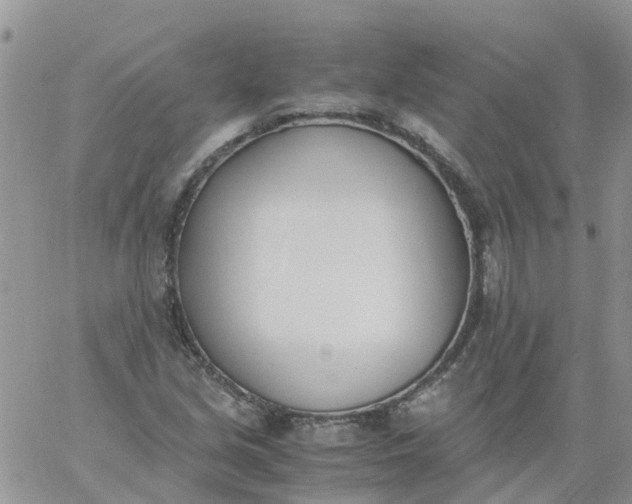 X0000060801213200511241902