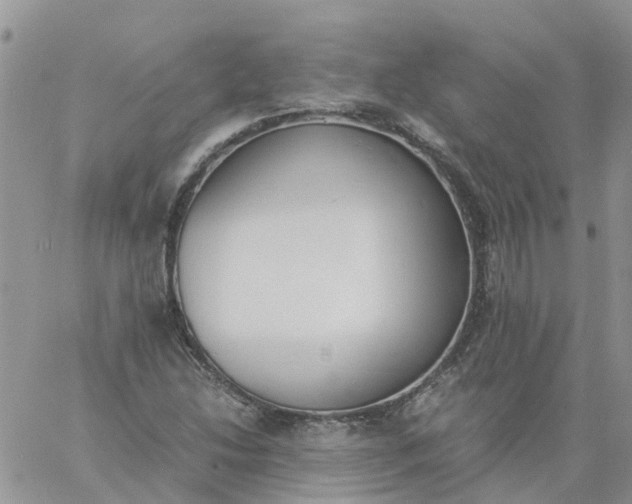 X0000060801214200511241902