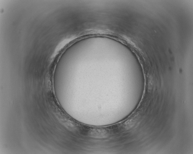 X0000060801215200511241902