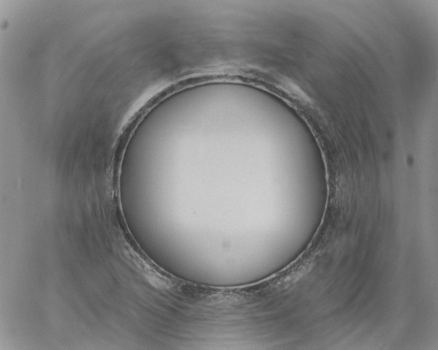 X0000060801216200511241902